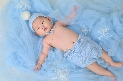 宁波宝宝树怎么样 宁波宝宝树怎么样